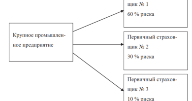 Схема сострахования в страховом бизнесе